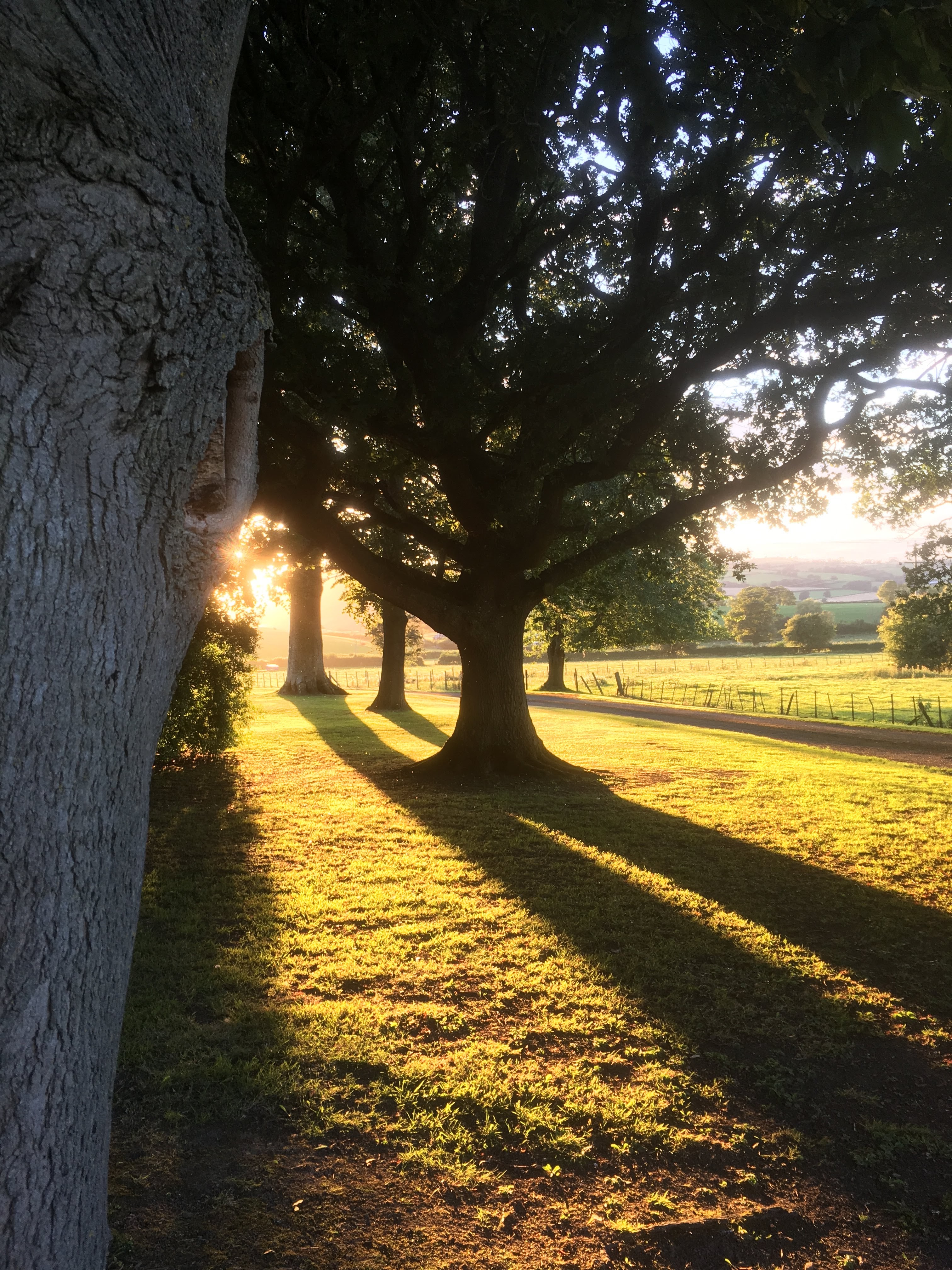 Pentrenant Hall - IMG 3848