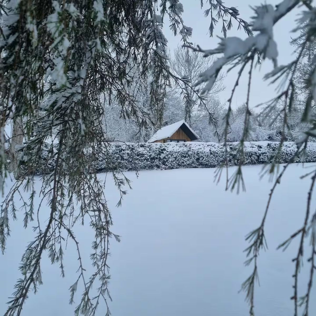 Cabin in the Snow