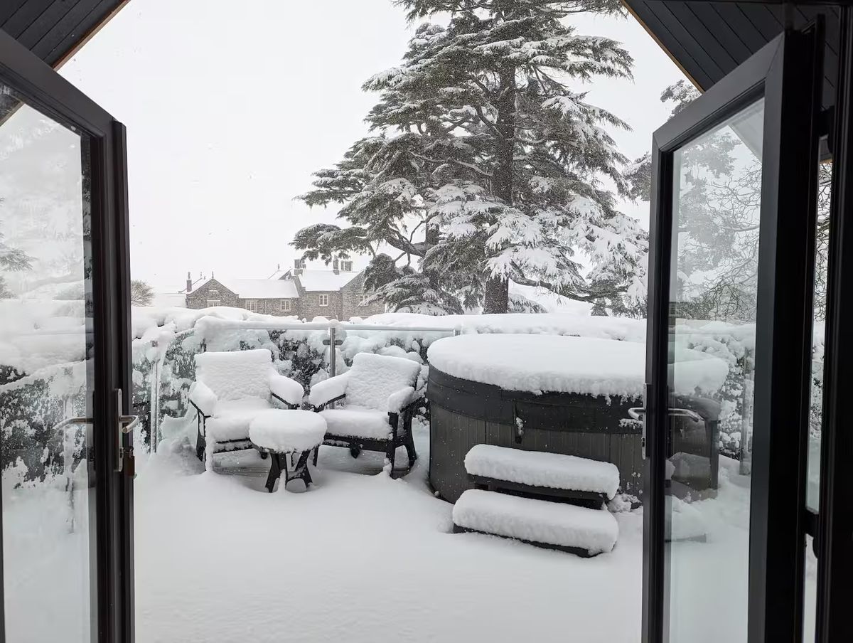 Snow View from Cabin